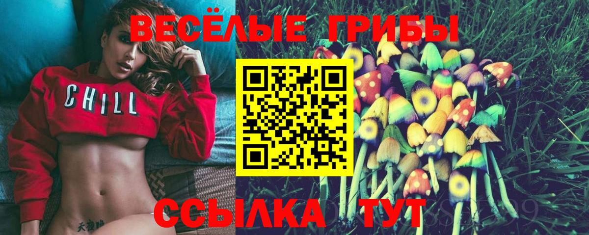 Галлюциногенные грибы GOLDEN TEACHER Качканар