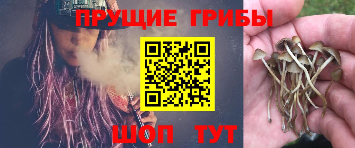 Качканар  Галлюциногенные грибы MAGIC MUSHROOMS  наркотики  Галлюциногенные грибы MAGIC MUSHROOMS  Вход с VPN 